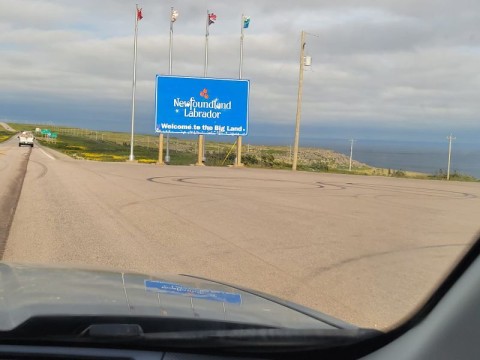 Newfoundland-Sign